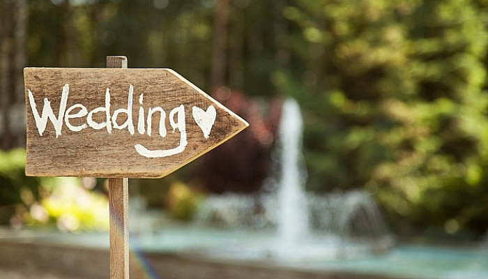 BridalFusion Wedding Basics