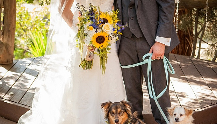 BF Include Pets in Your Wedding