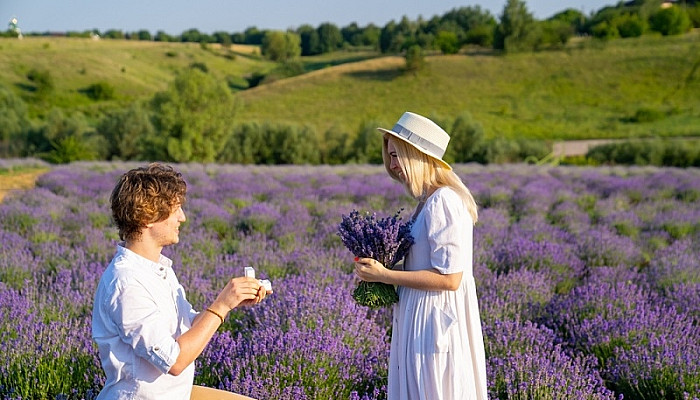 man is proposing to woman with ring in lavender field